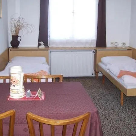 Guest house Begonie 2*