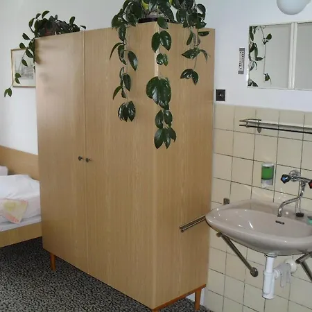 Begonie Guest house 2*