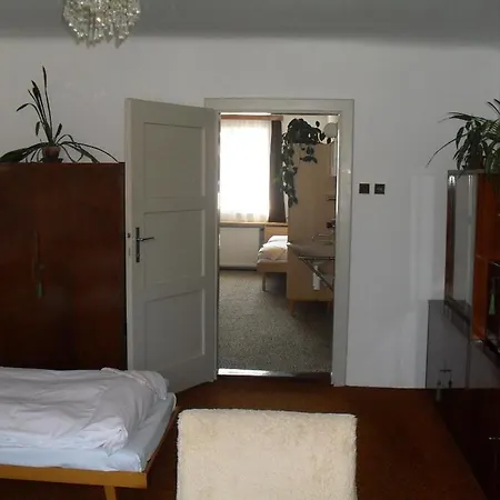 Begonie Ceske Budejovice