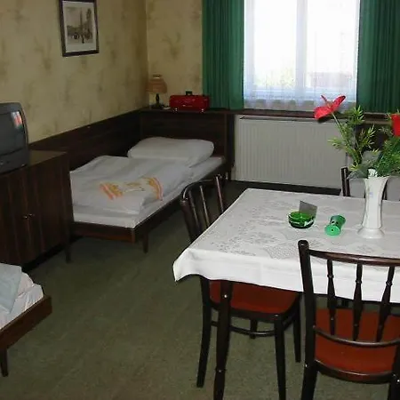 Begonie Ceske Budejovice