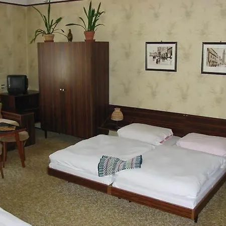 Begonie Guest house